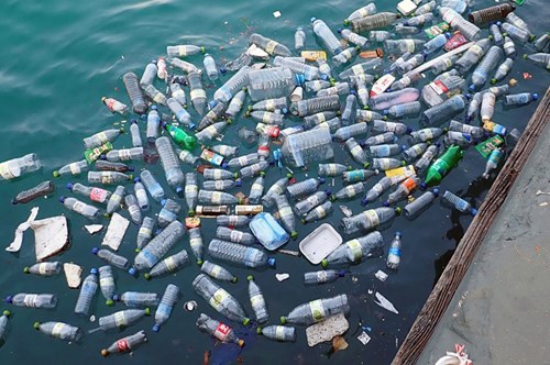 Báo động ô nhiễm rác thải nhựa.
